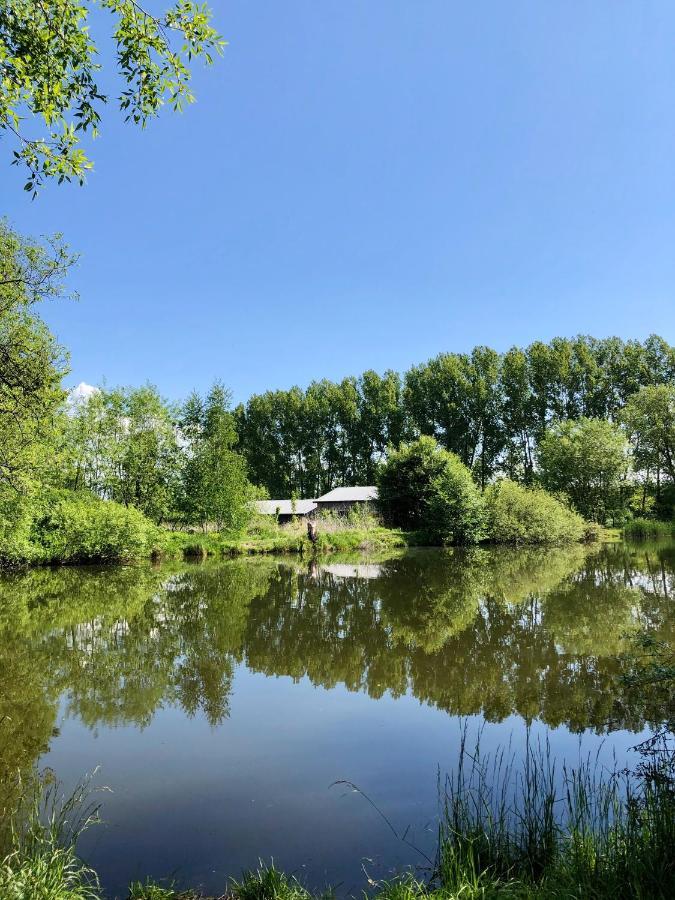 Koza i Brzoza, domki z kontenerów Piechowice  Exterior foto